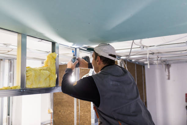 Best Insulation Installation Services in Wilson Conococheague, MD