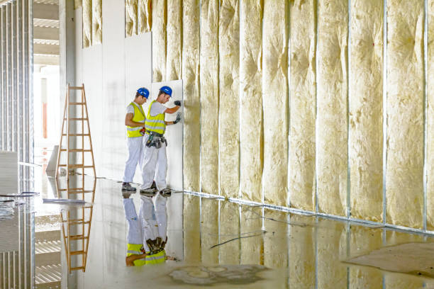 Best Types of Insulation in Wilson Conococheague, MD